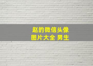 赵的微信头像图片大全 男生